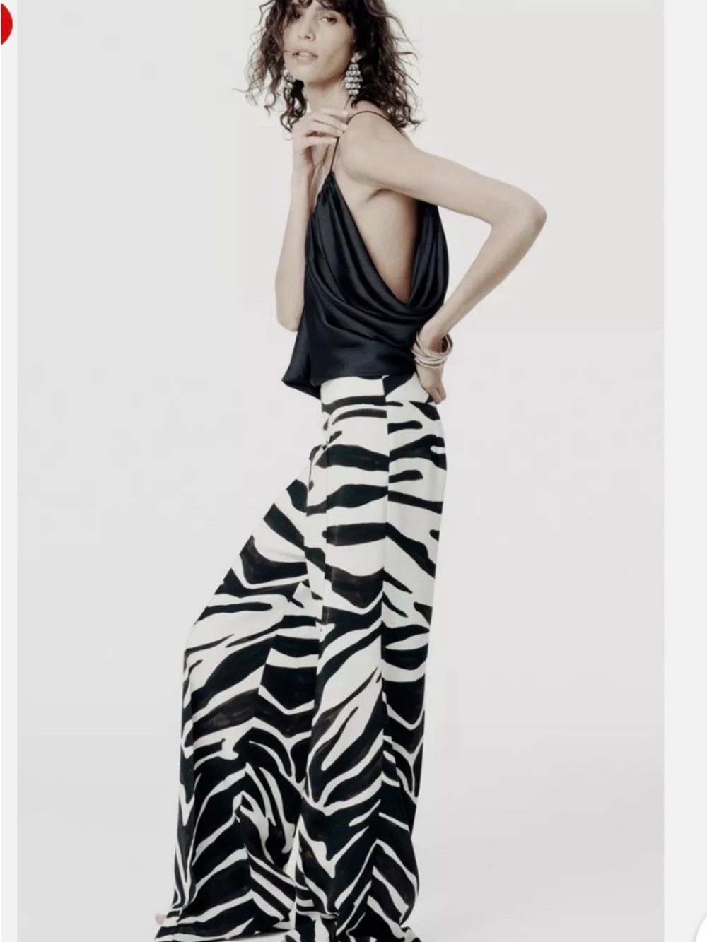 Zebra Print Wide-Leg Pants - Black & White - Picture 2 of 4